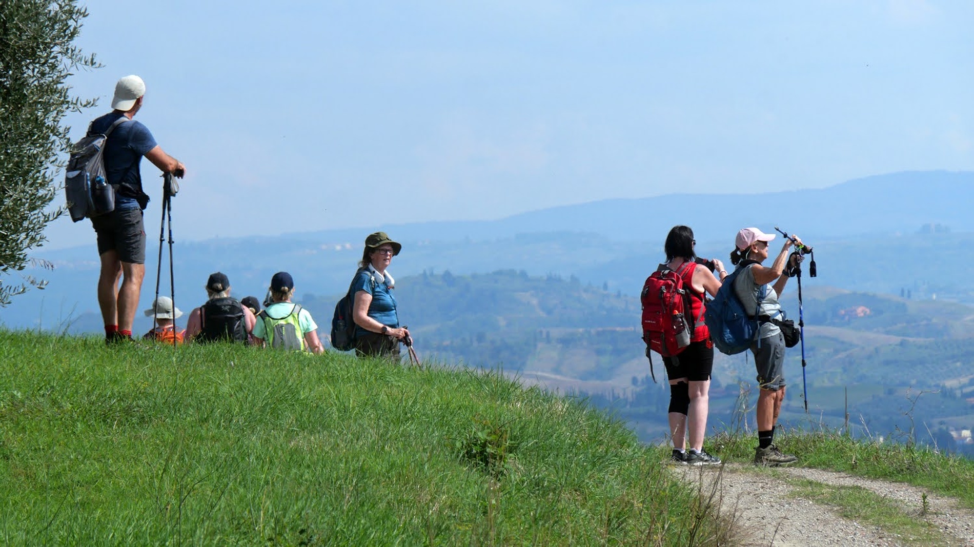 Via Francigena from Lucca to Siena with guide