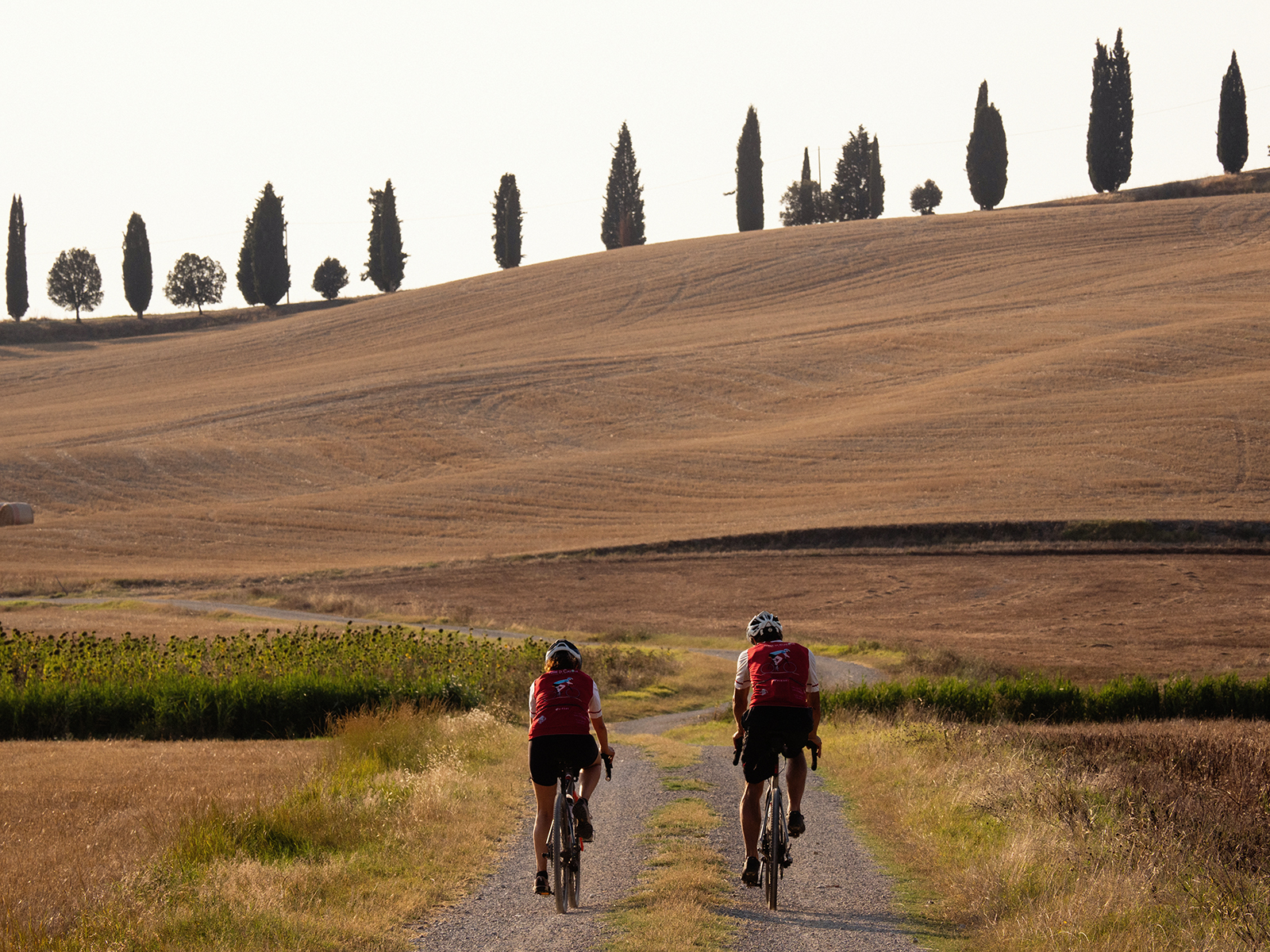 Terre di Casole Bike Hub