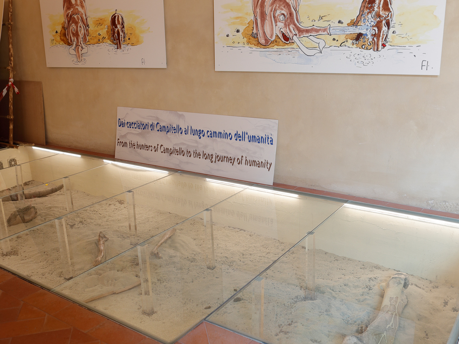 Museo Paleontologico Montevarchi