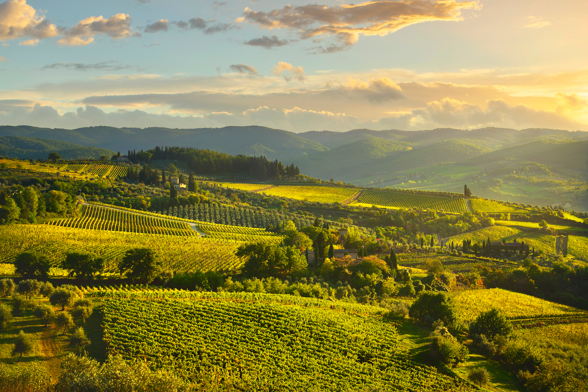 l'été dans le chianti