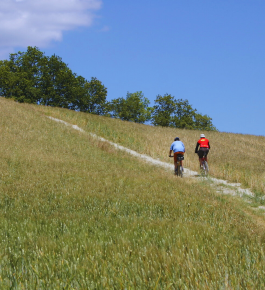 Five days by bike in Val d'Orcia