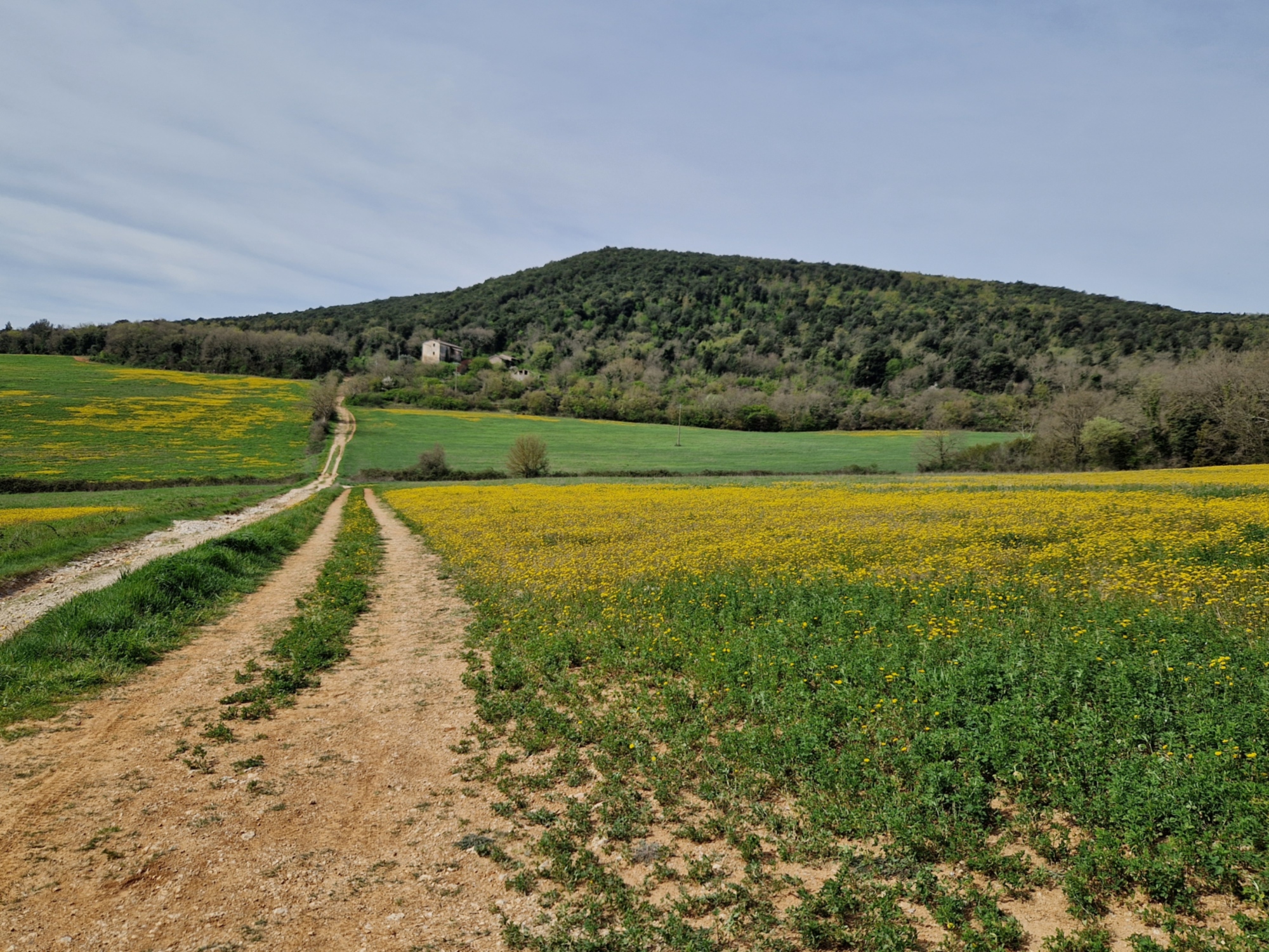 Un tronçon de la Via Francigena