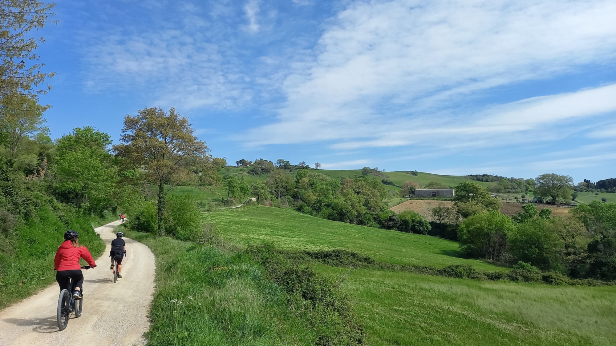 chemin de terre près de Montepò