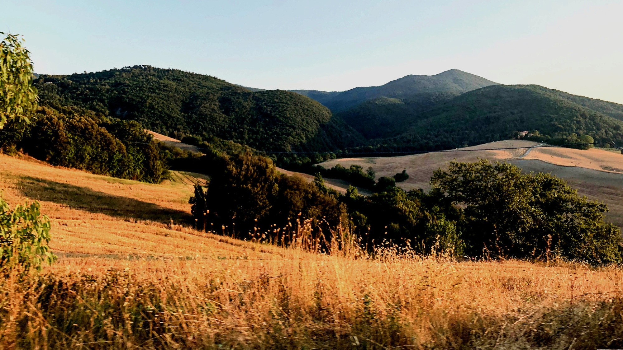 Campagne de Pomarance