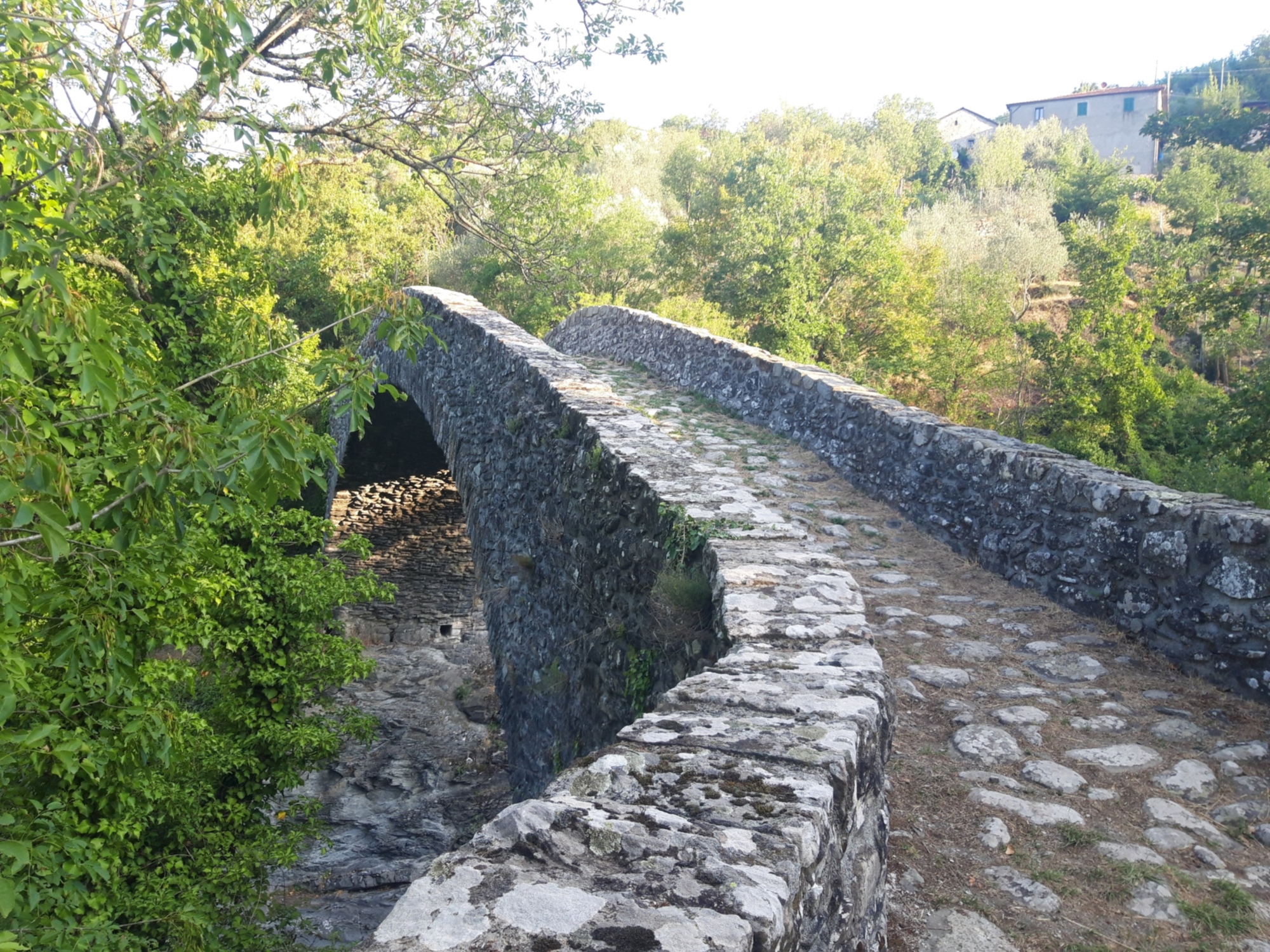 Un tour di 5 giorni lungo la Via Francigena in Lunigiana