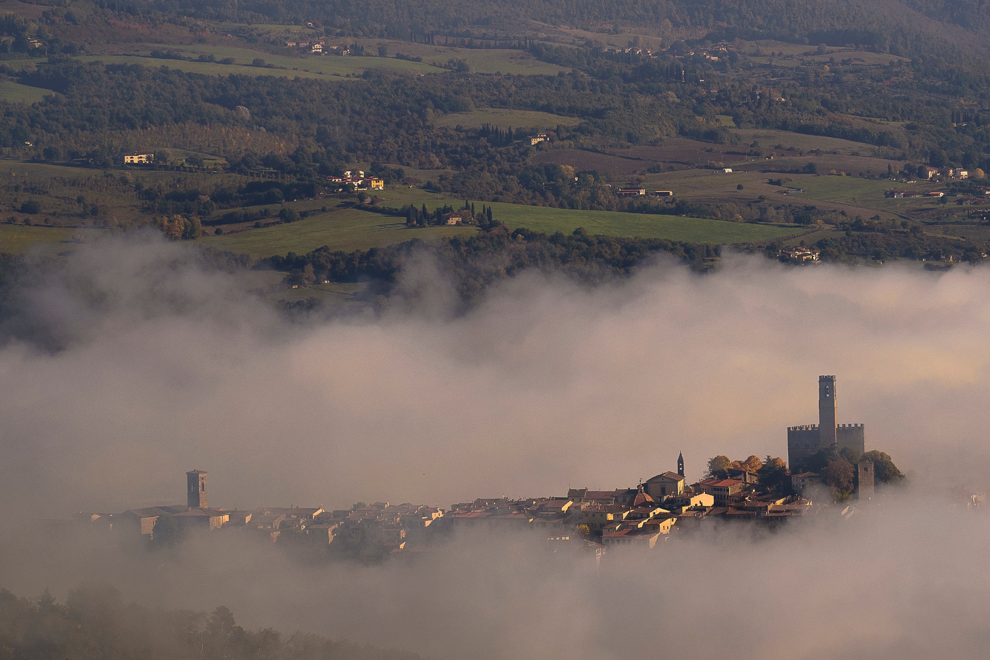 Poppi perchée dans les nuages