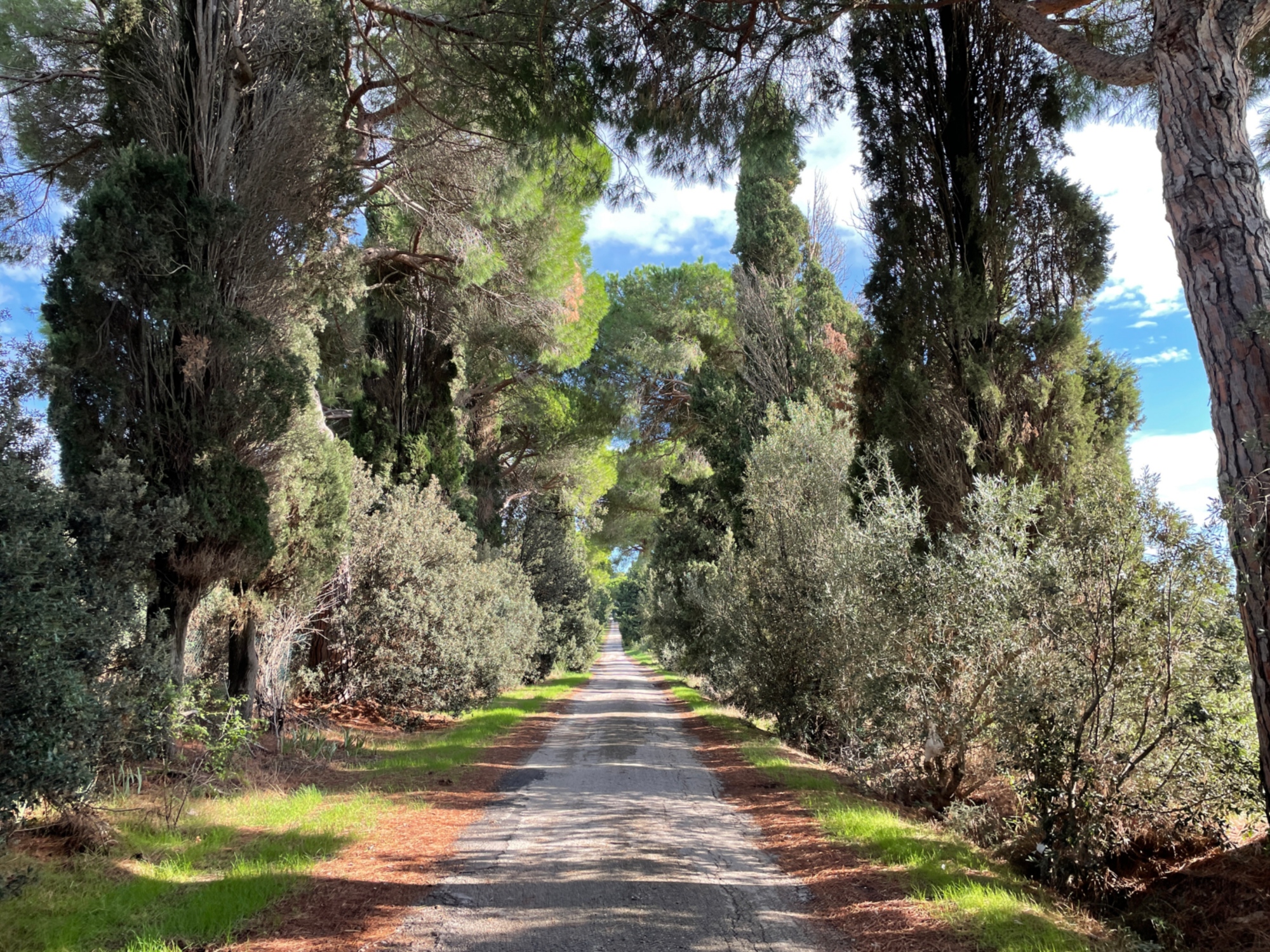 Grand tour de la Toscane à vélo