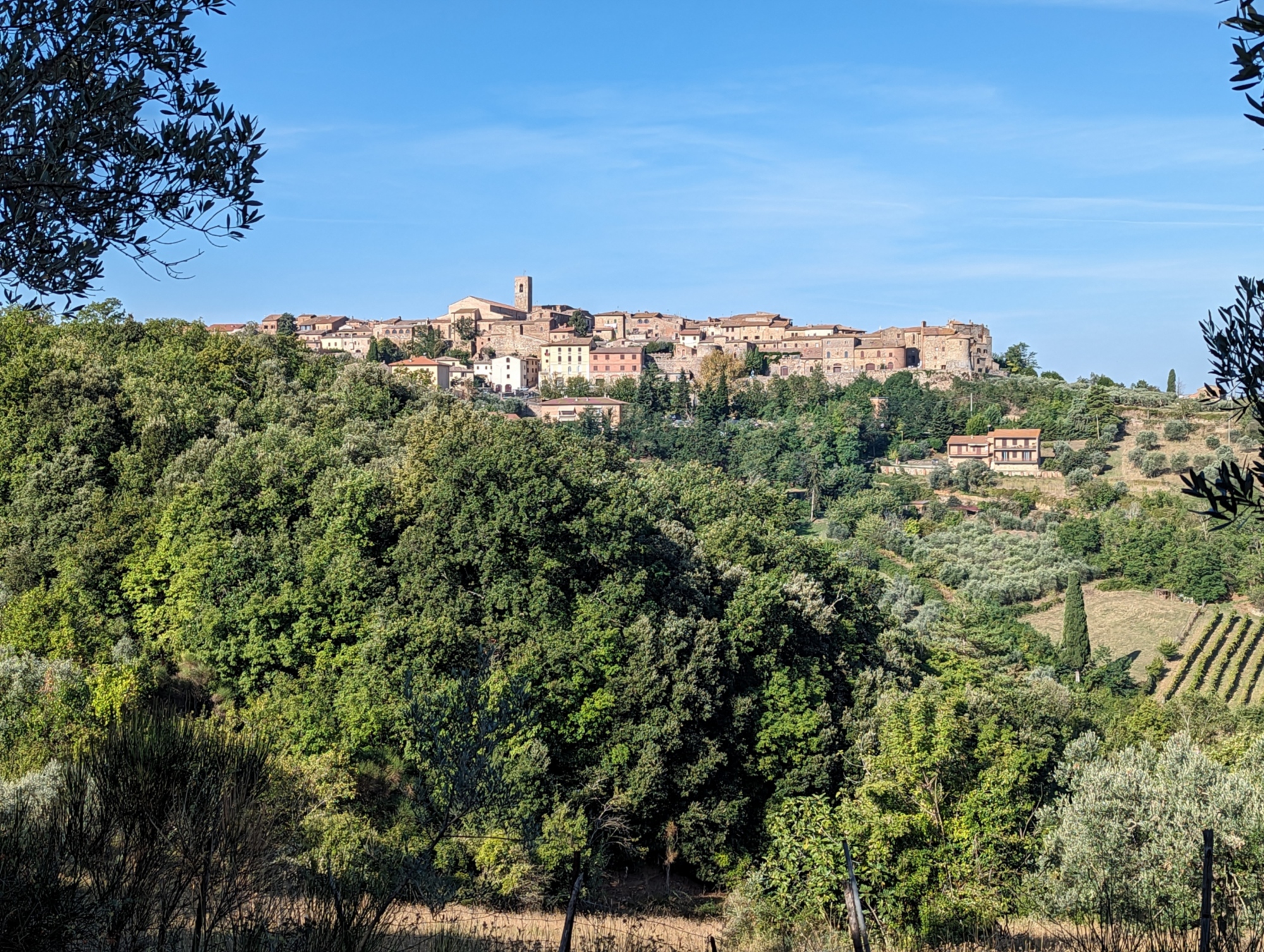 Vue de Casole d’Elsa