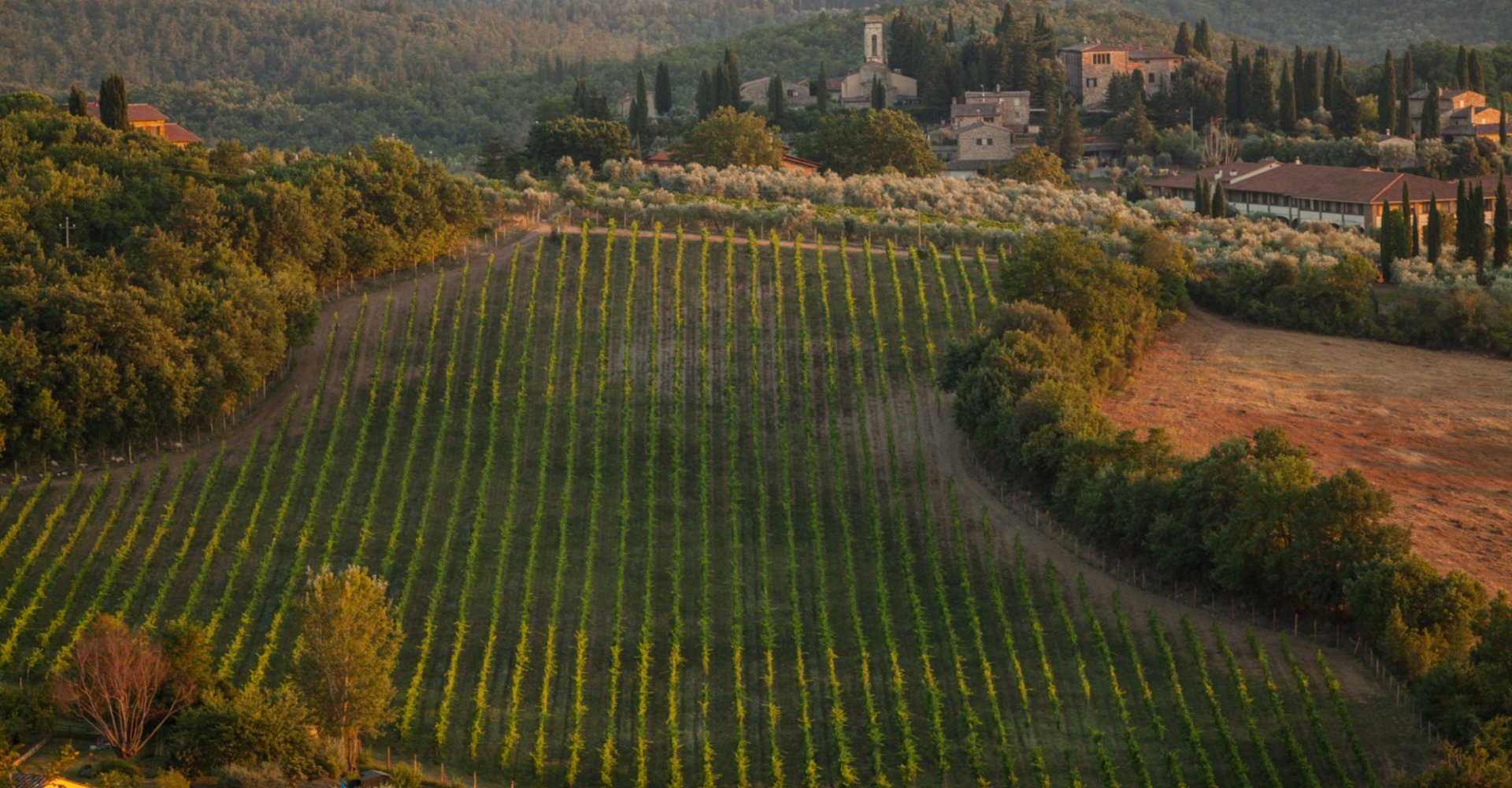 Le village de San Donato in Poggio sur la colline couverte de vignes Le village de San Donato in Poggio sur la colline couverte de vignes
