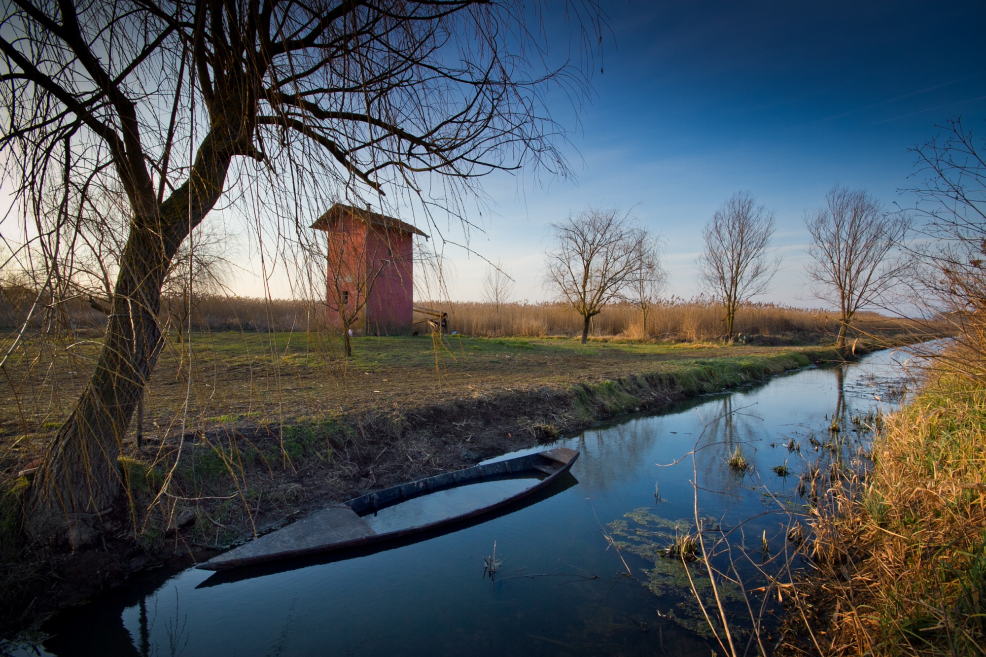 Marais de Fucecchio