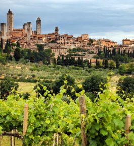 Day tour to discover some beautiful Tuscan villages, including San Gimignano