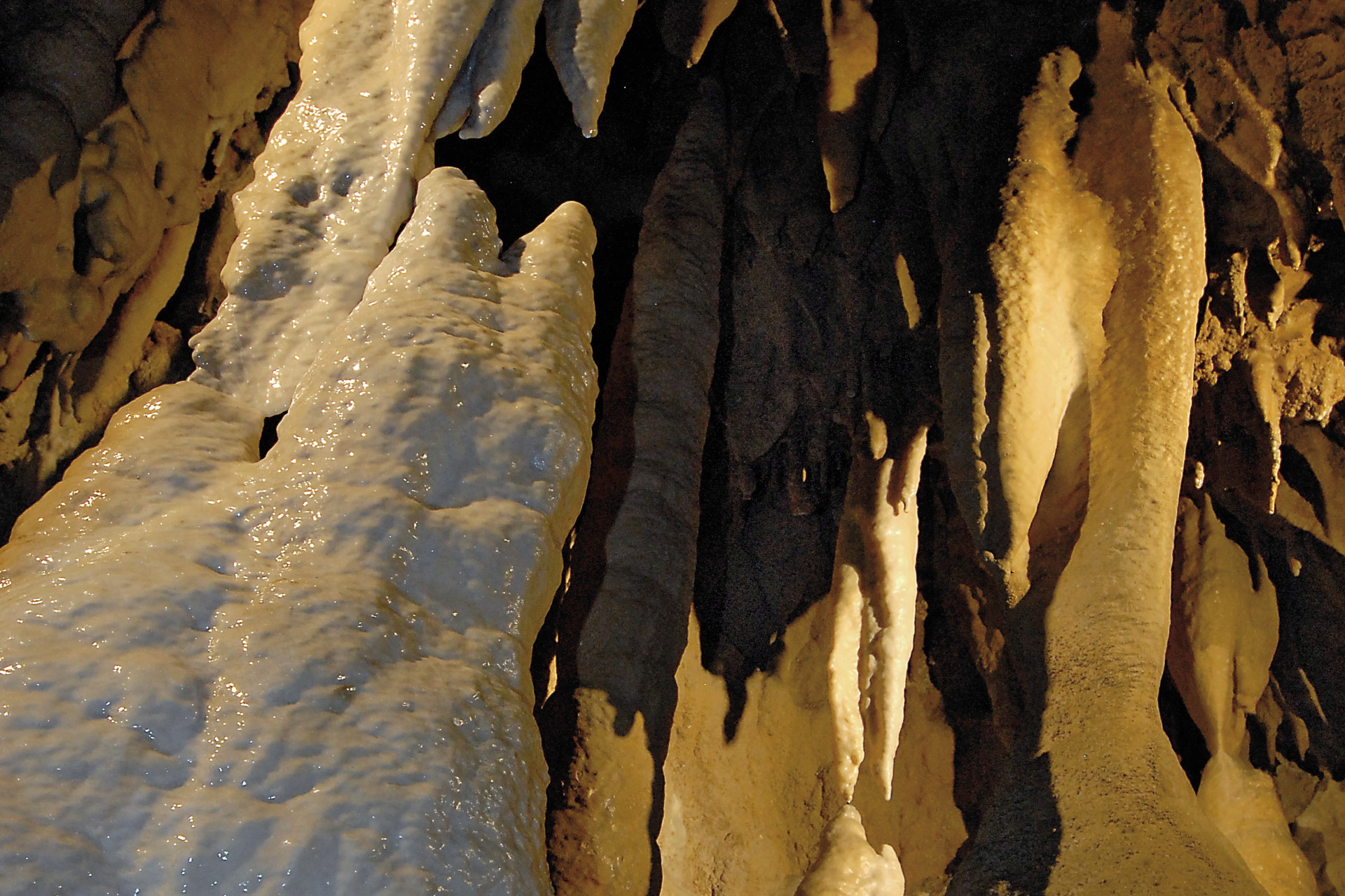 Grottes d’Equi
