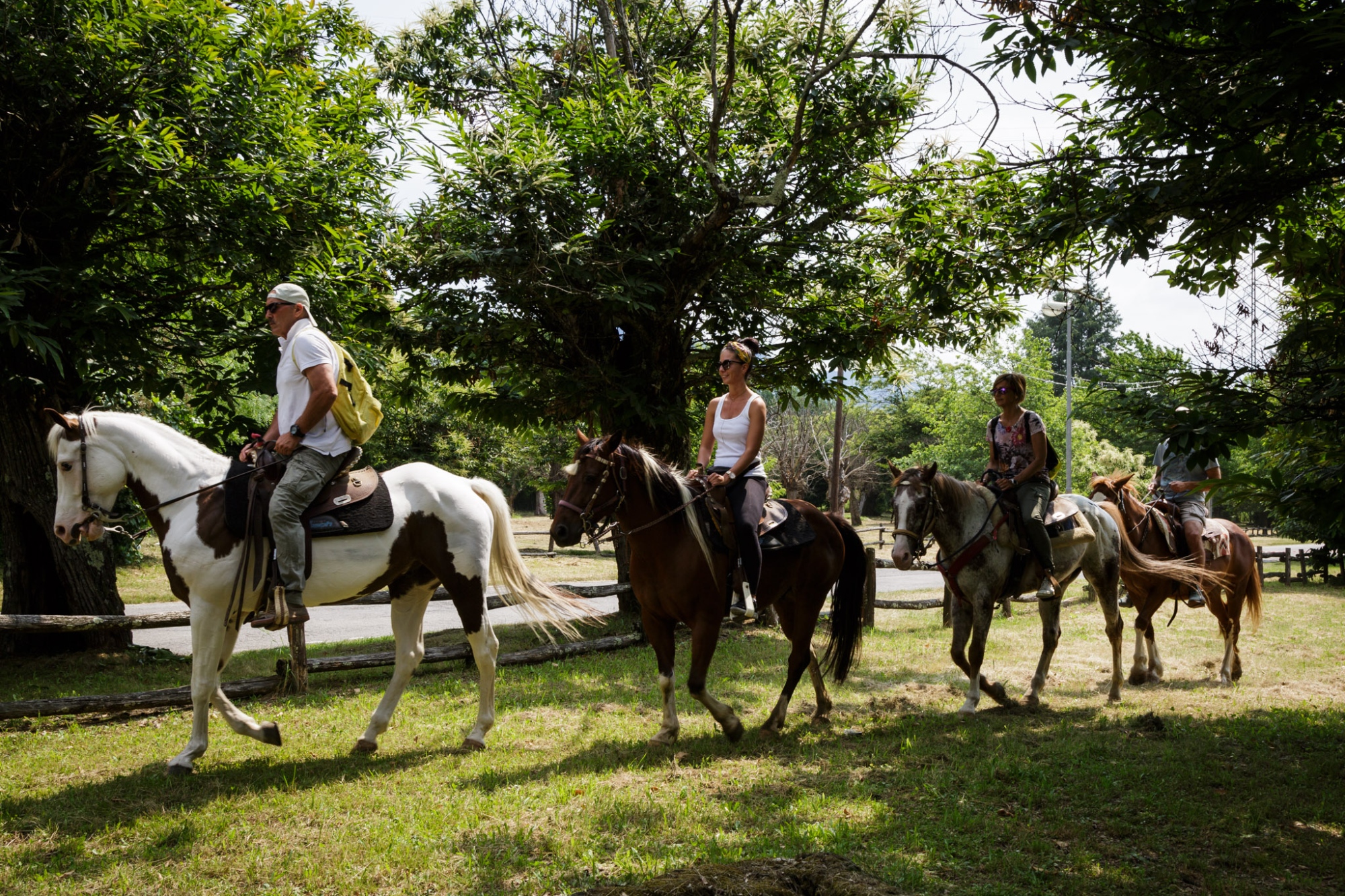 Chevaux en Lunigiane