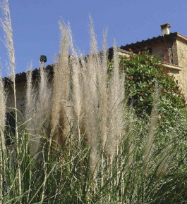 Casa Leonardo is located in a quiet area between the hills of the provinces of Florence, Pisa and Siena