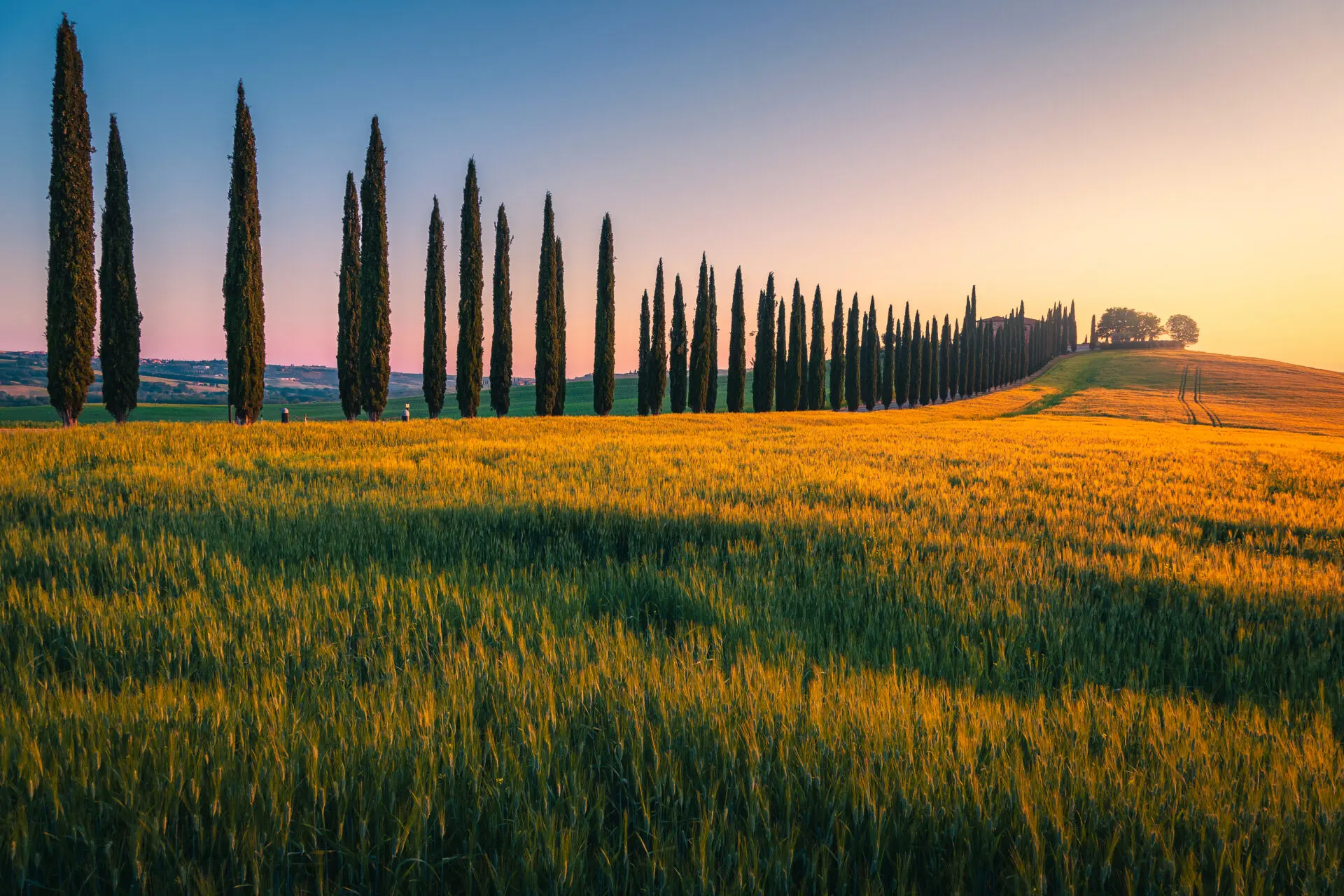 Degustazione di tutti i vini prodotti da Fattoria La Torre di San Gimignano