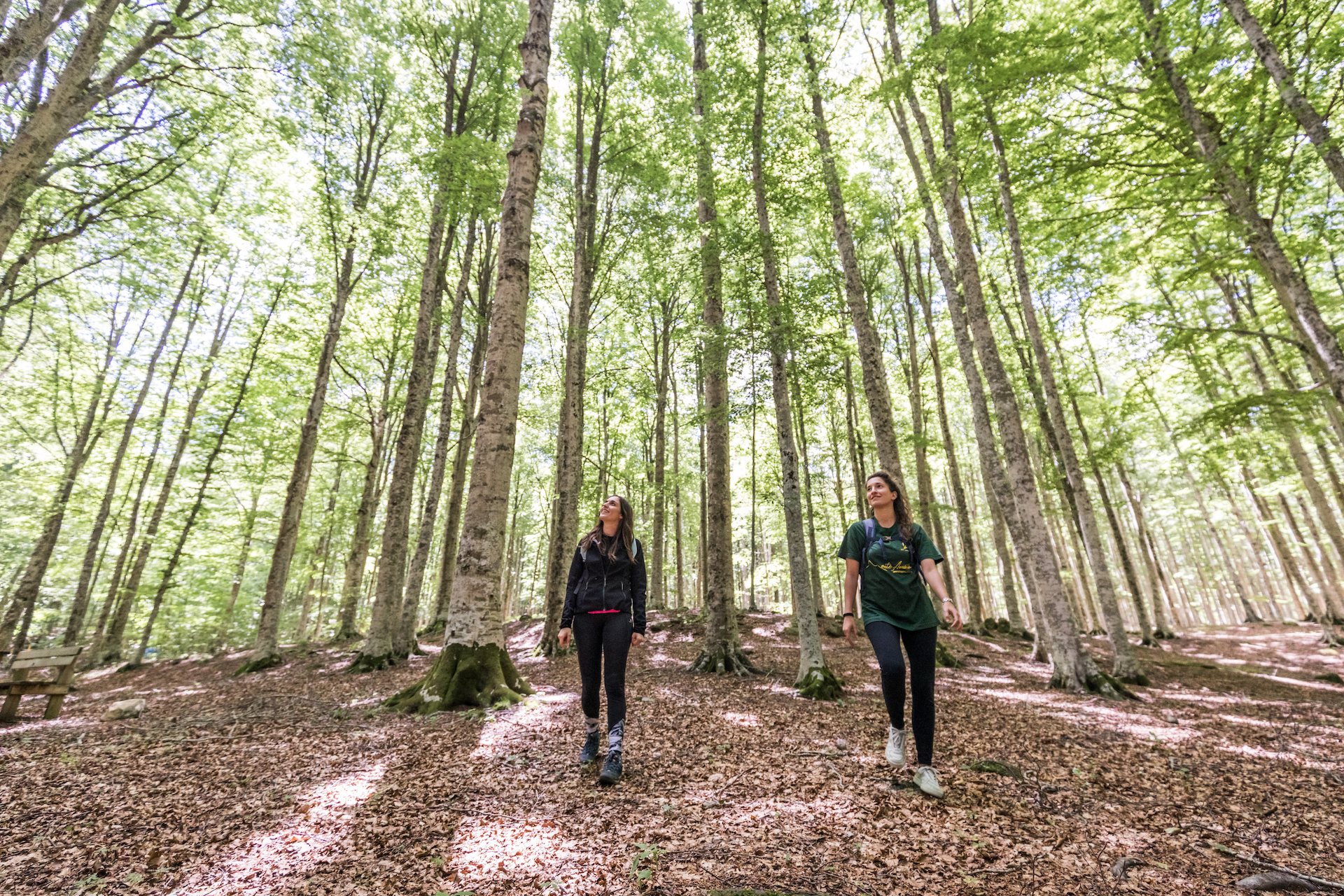 Bains de forêt Amiata