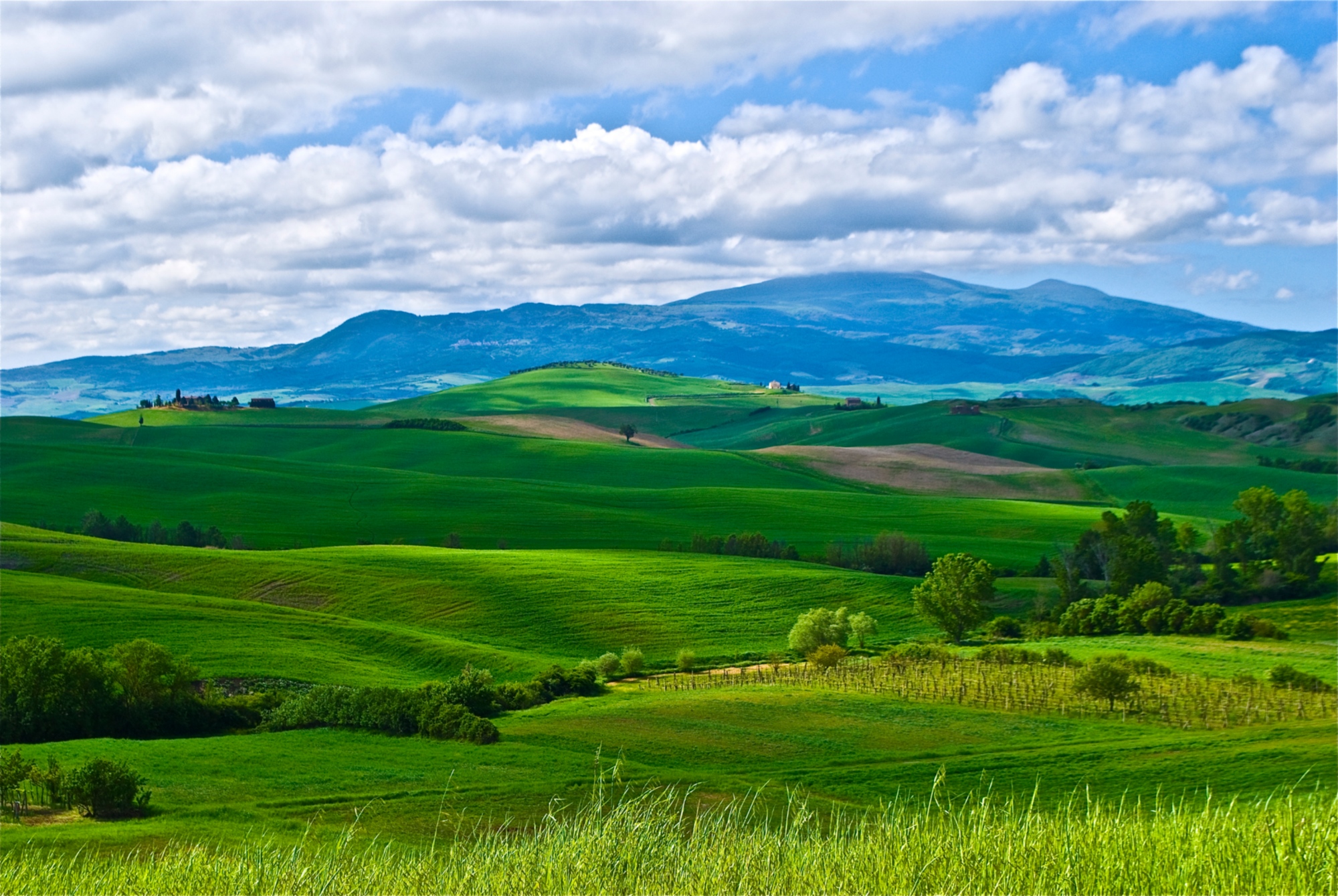 Val d'orcia gravel - printemps en val d'orcia