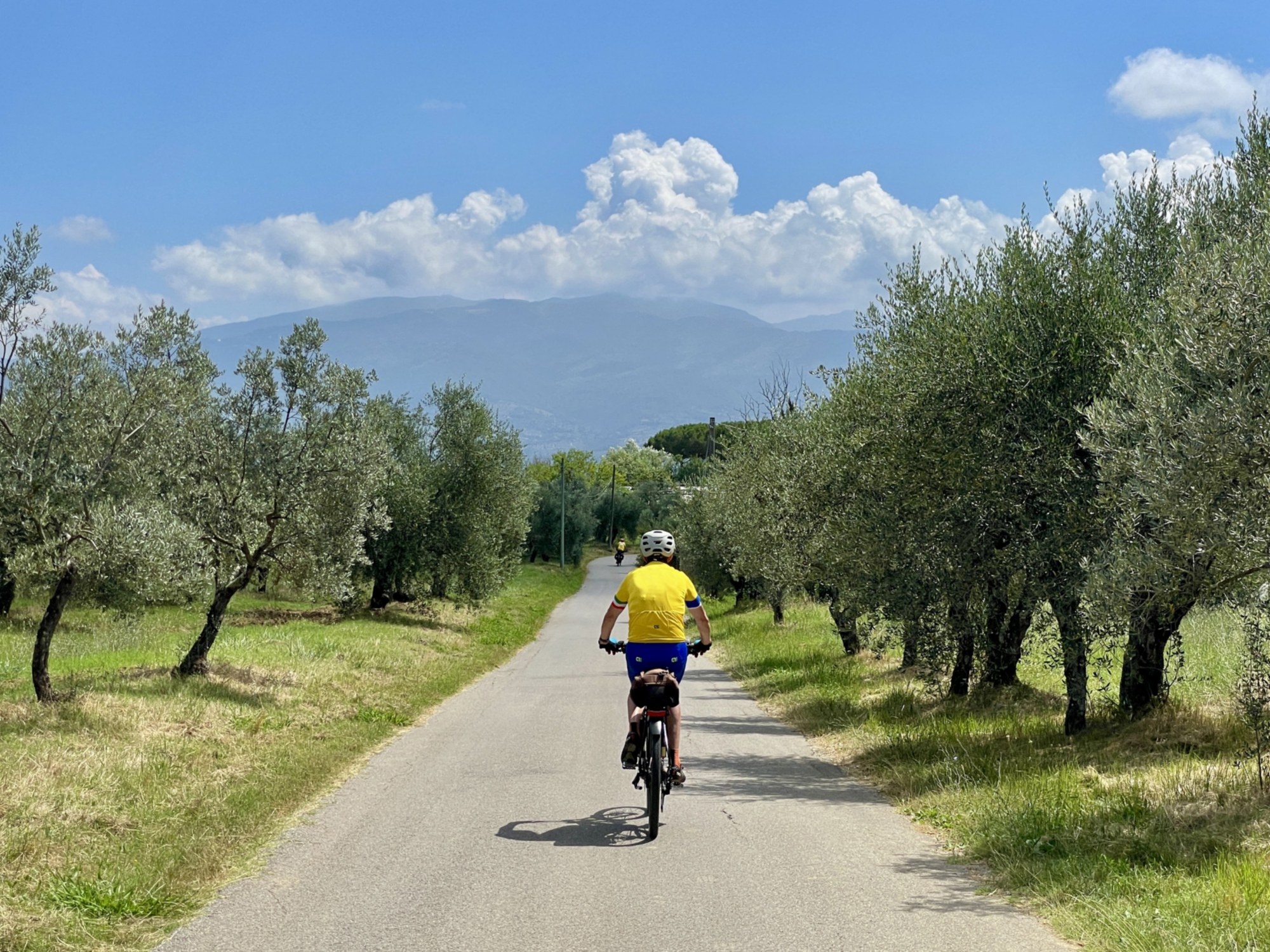 La campagne de Reggello