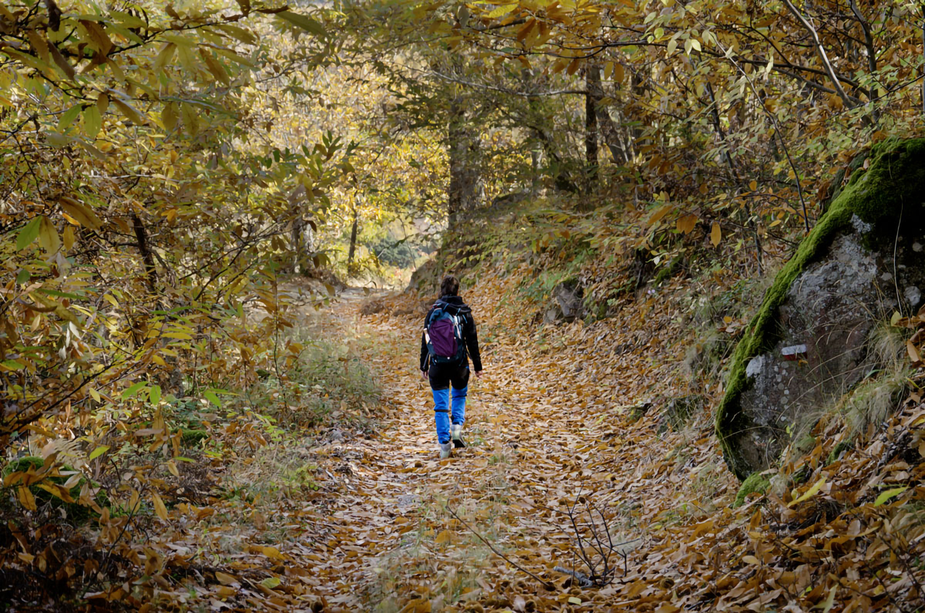 Via dell'Acqua