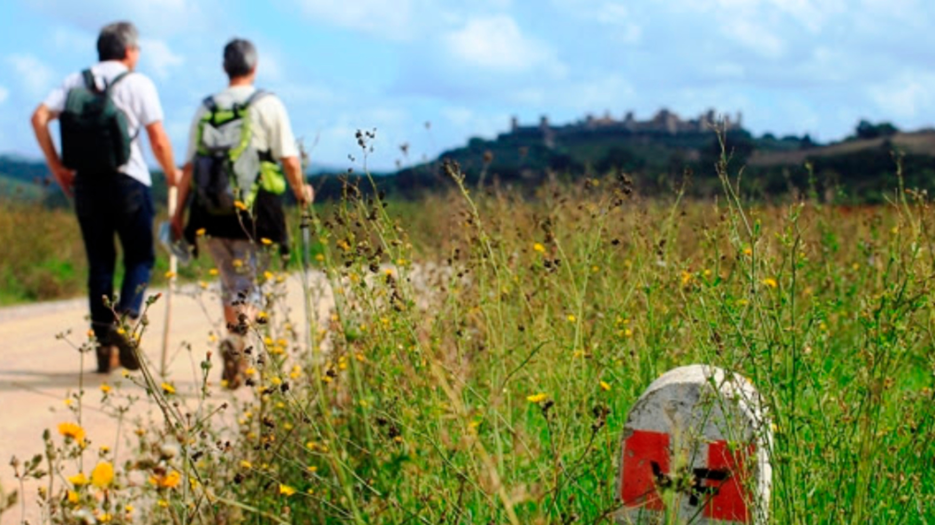 Paesaggio toscano lungo la Via Francigena con sentiero tra colline e cipressi