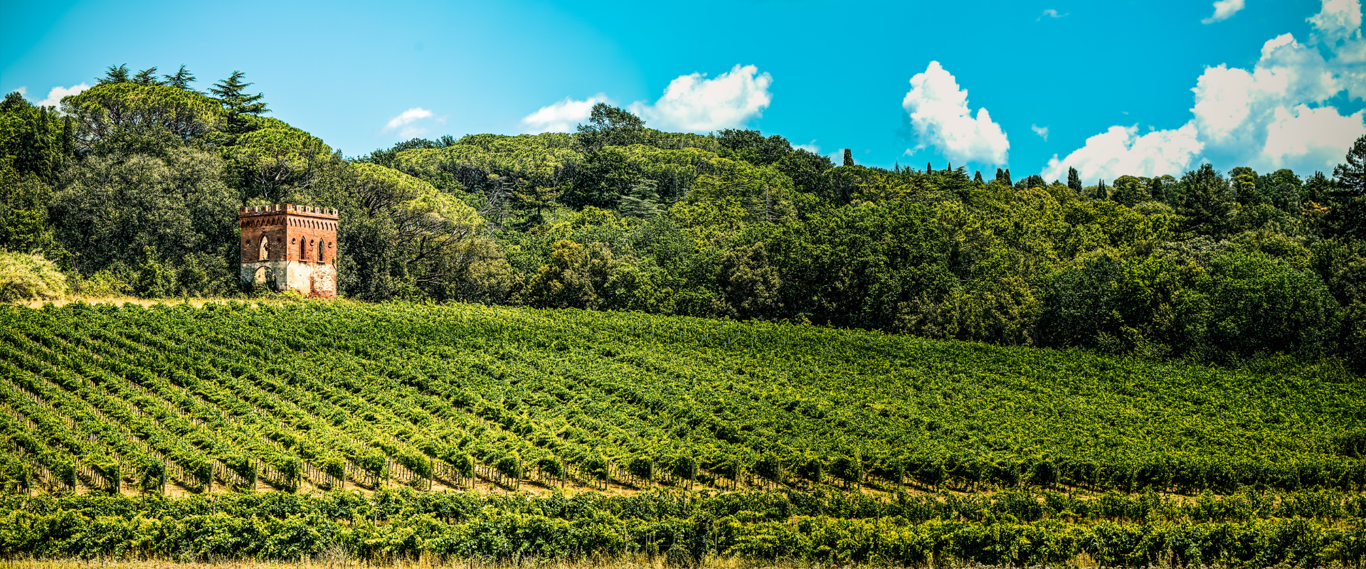 Pontedera - Œnogastronomie - Terres de Pise