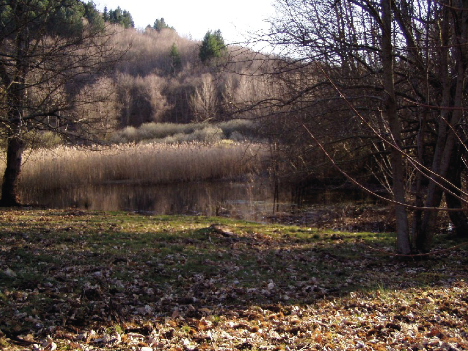 Le lac de Montieri