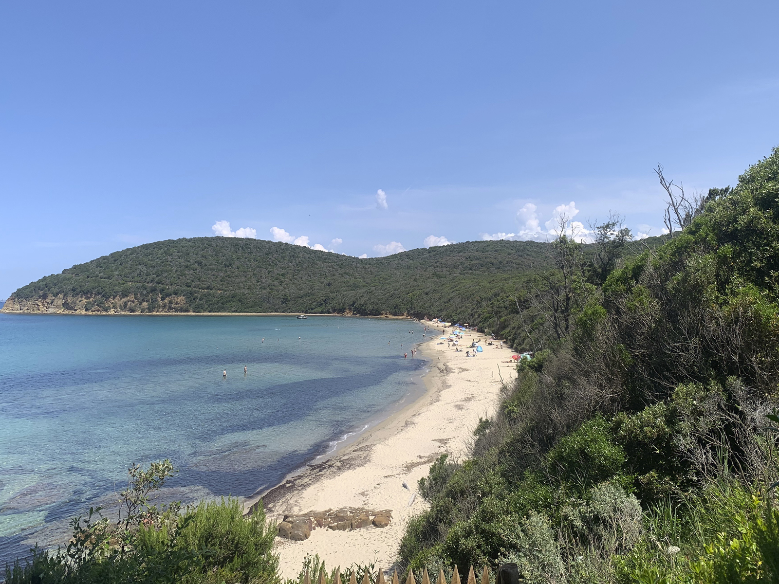 Vue sur Cala Violina