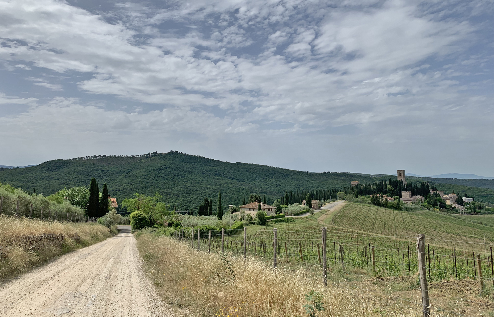 Panorama autour de la Badia a Passignano