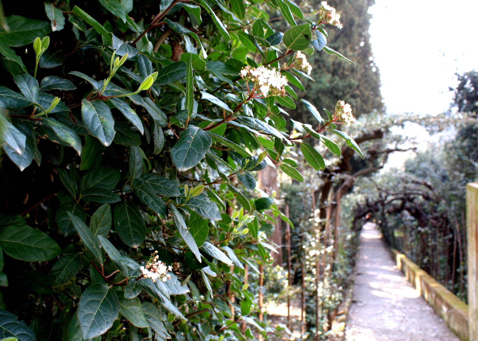 Le Jardin Boboli