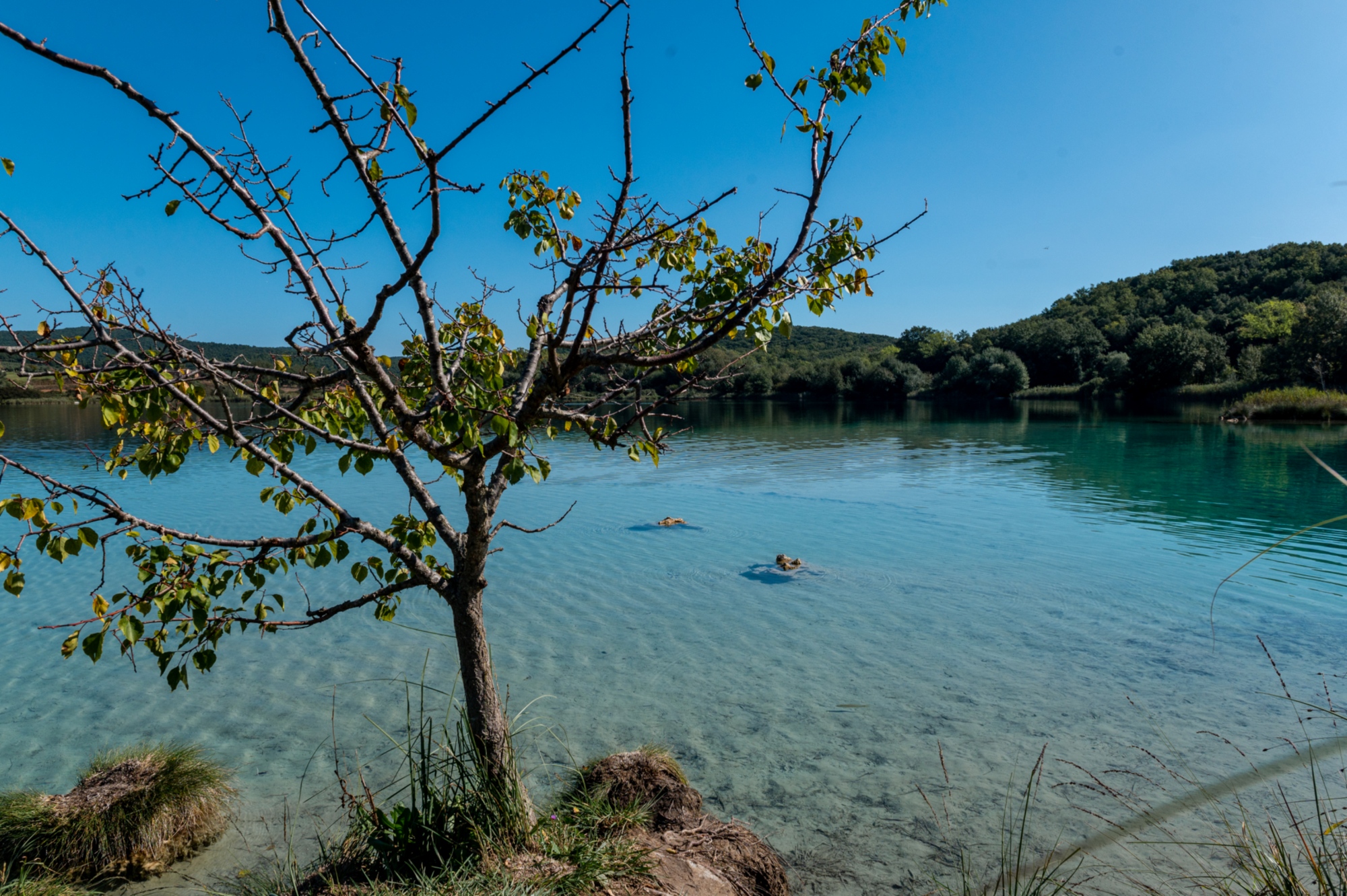 Lac de l'Accesa