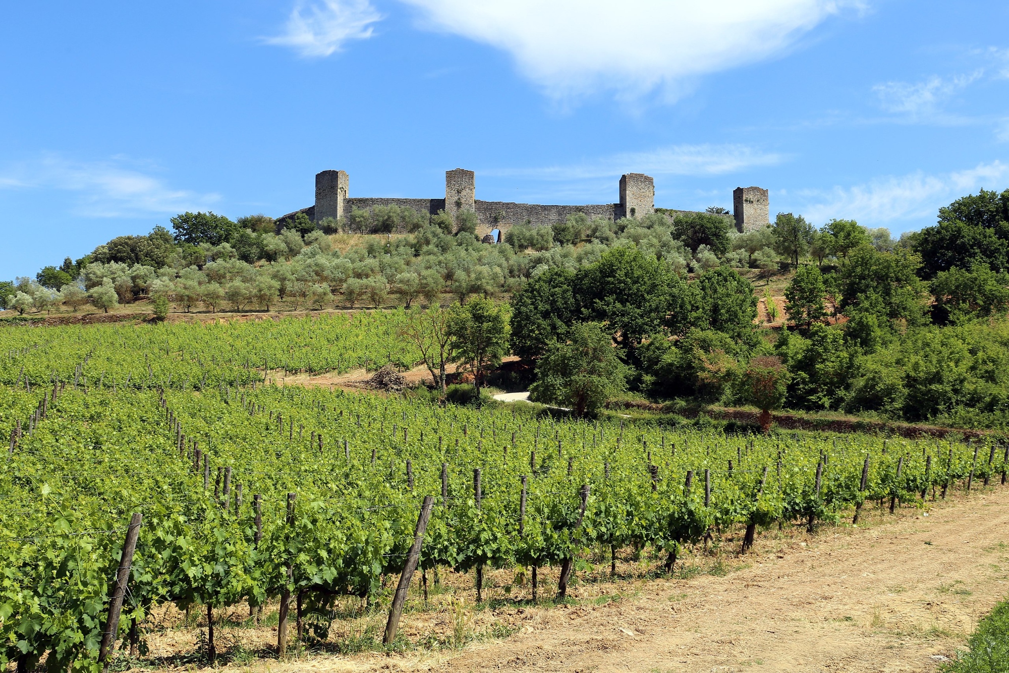 Monteriggioni, vue des remparts