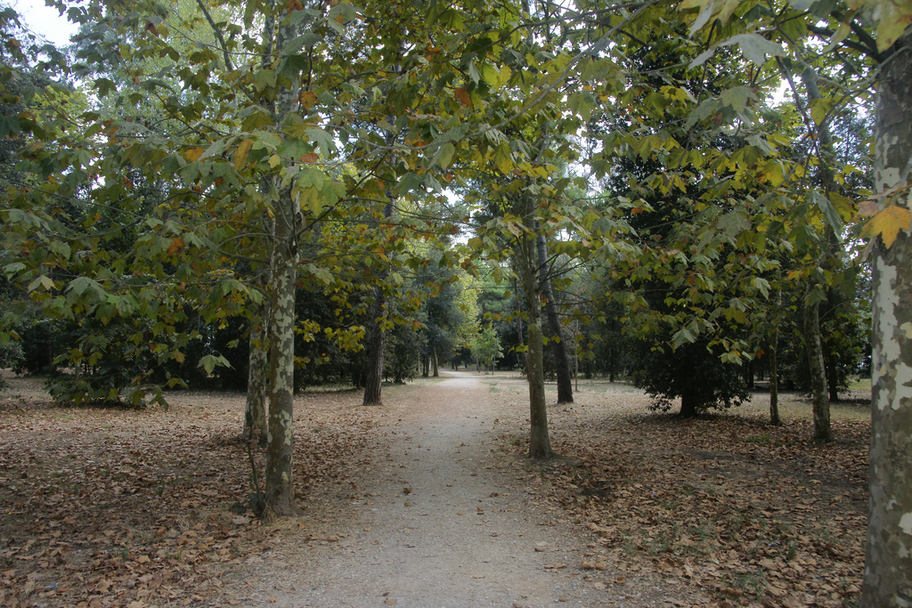 La Pineta di Ponente