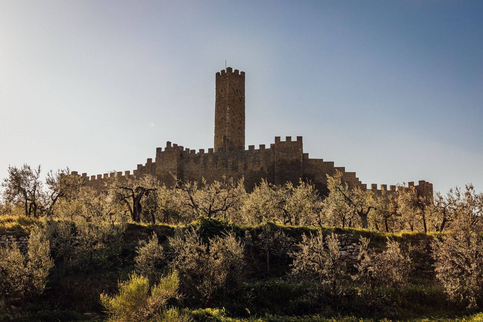 Château de Montecchio Vesponi