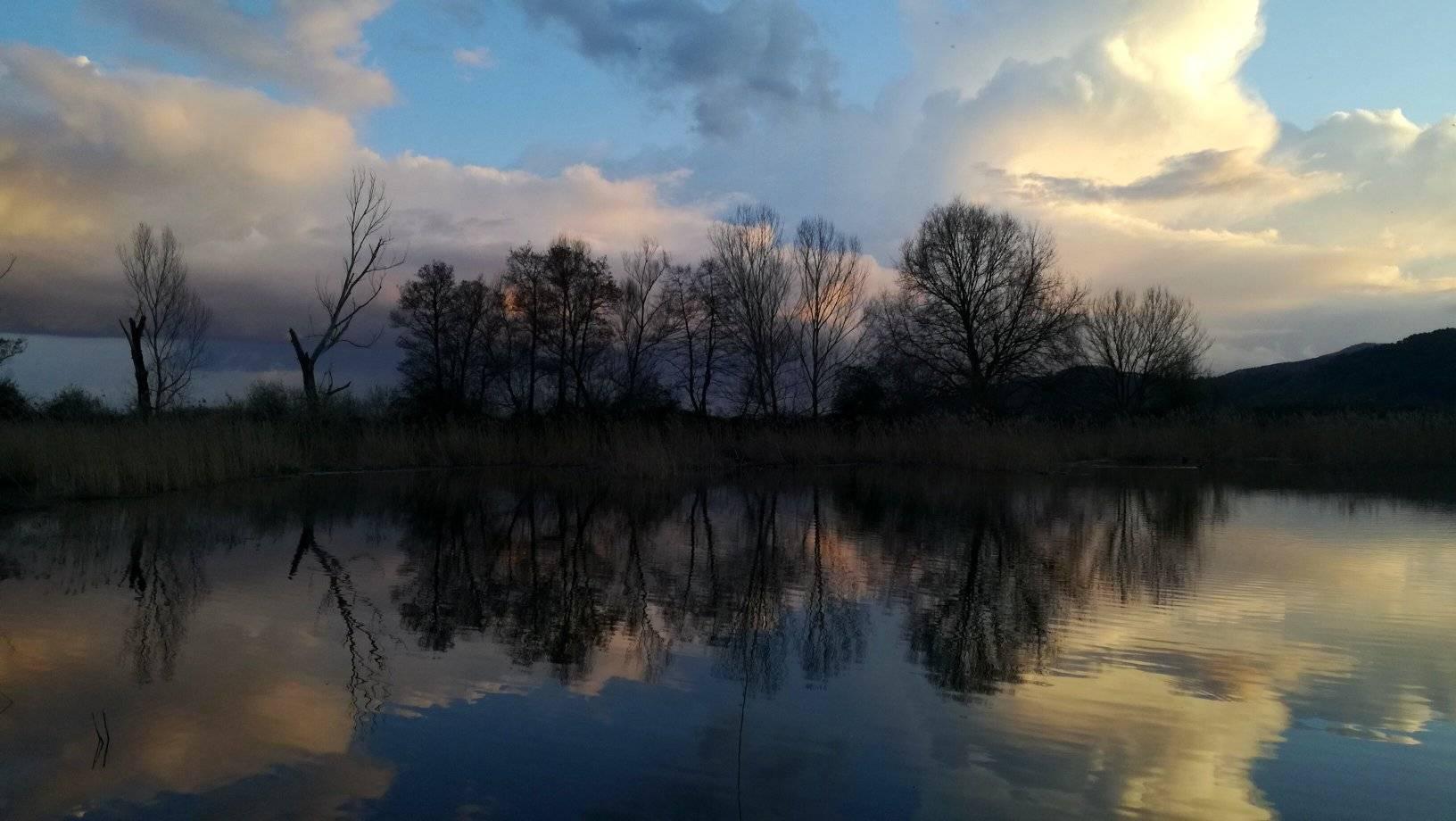 Coucher de soleil sur l’oasis WWF Bosco del Bottaccio, avec les arbres se reflétant dans l’étang