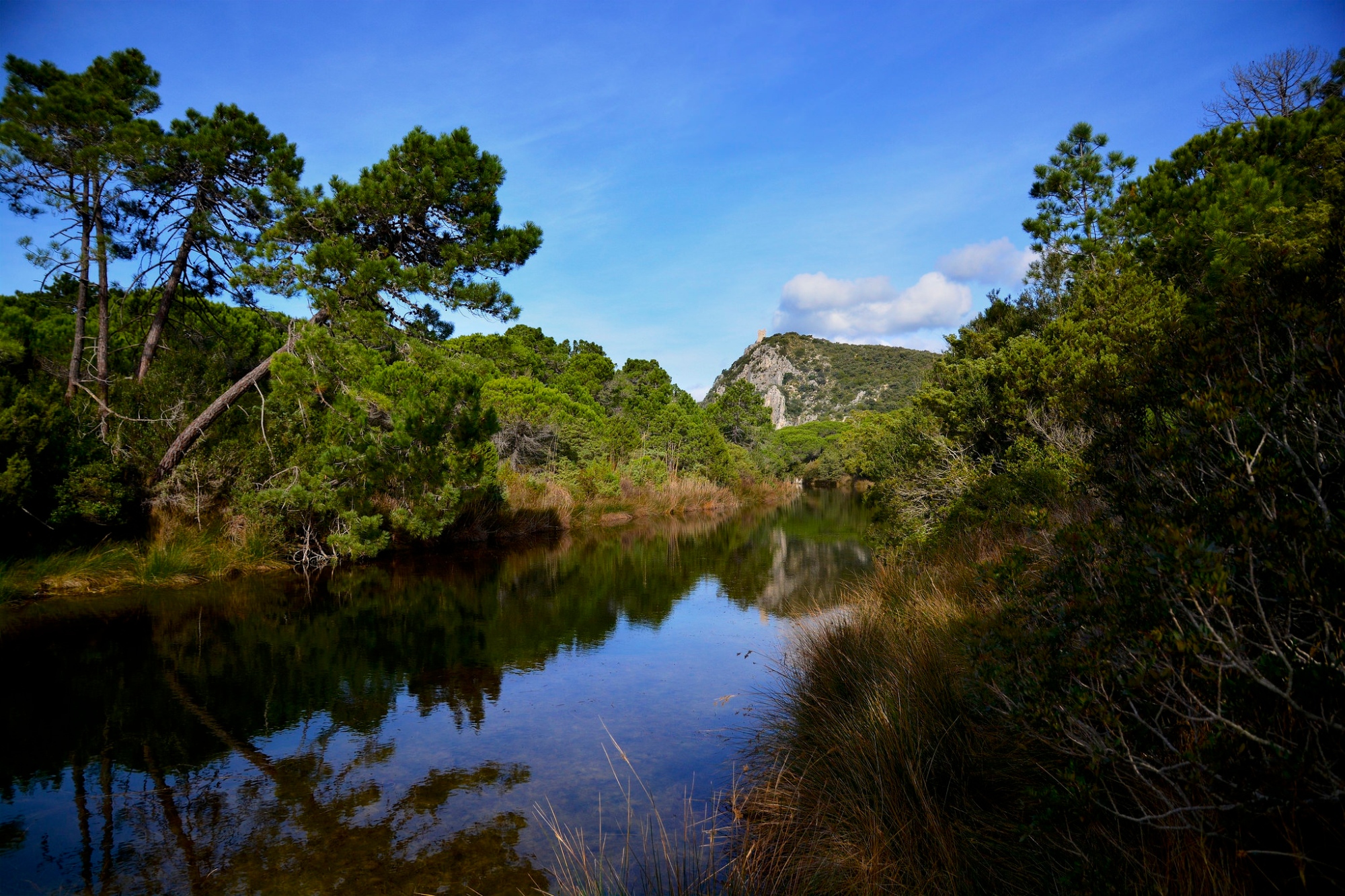 Parc de la Maremme