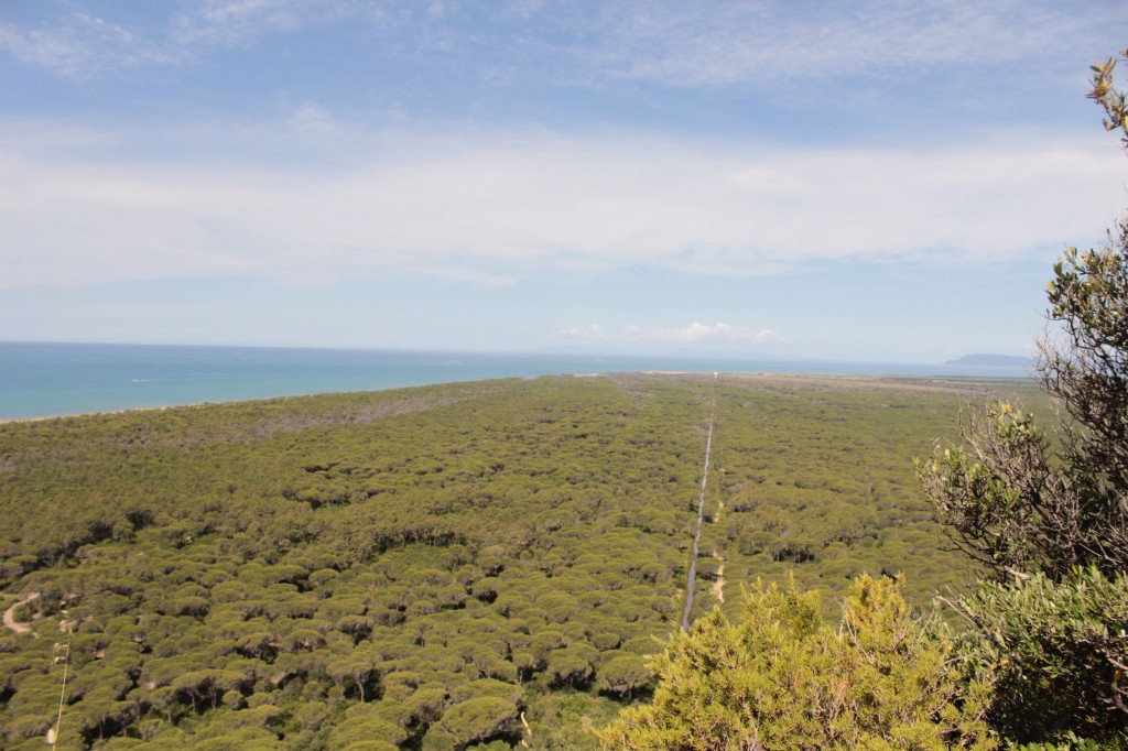 Parc Régional de la Maremme