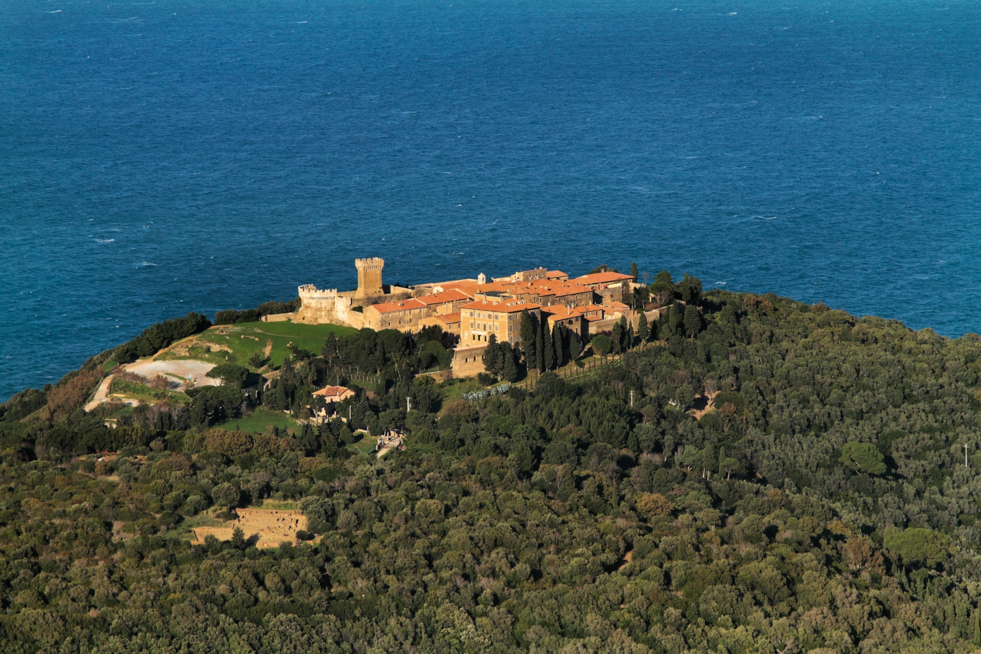 Populonia