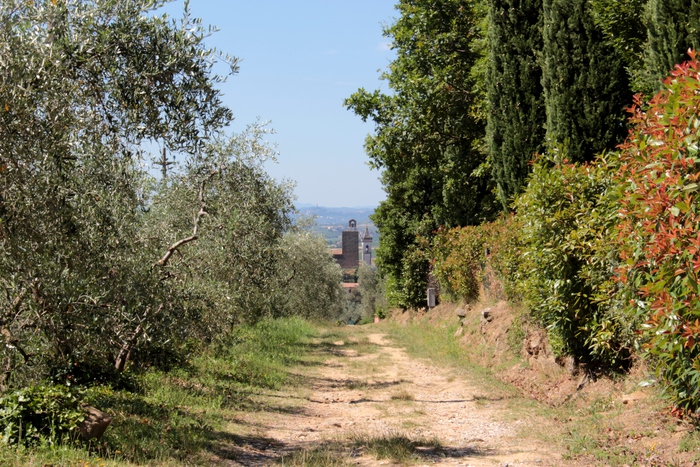 Le chemin Strada Verde