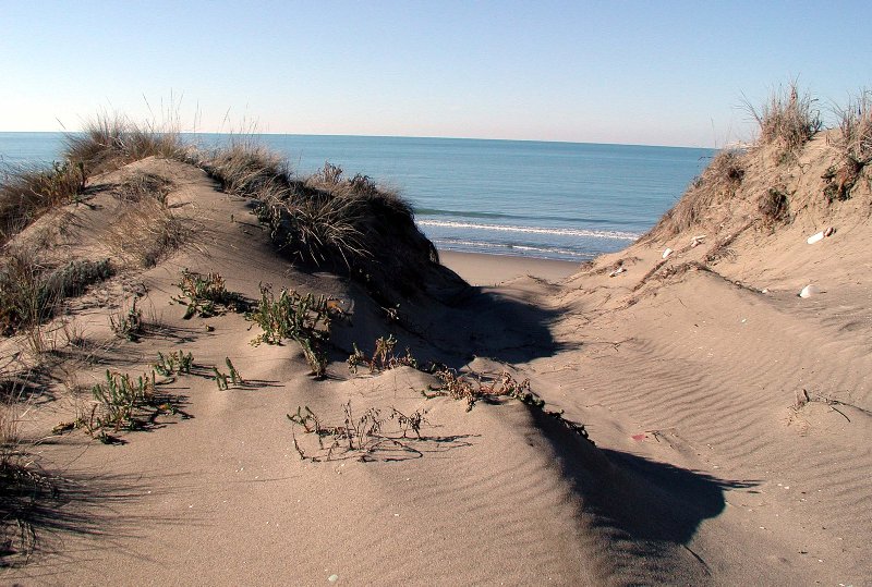 Le parc de Migliarino, San Rossore et Massaciuccoli