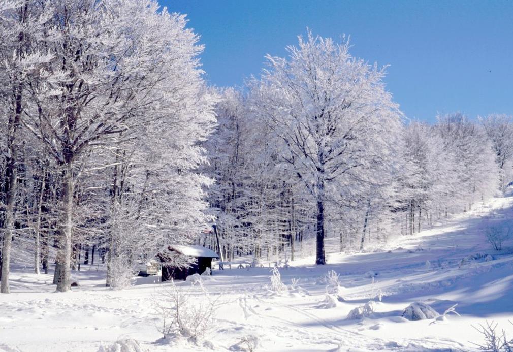 Le Mont Amiata en hiver