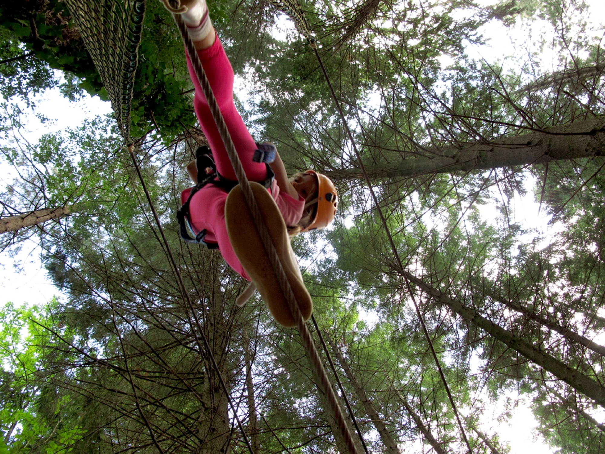 Parc d'Aventure « Selva del Buffardello »