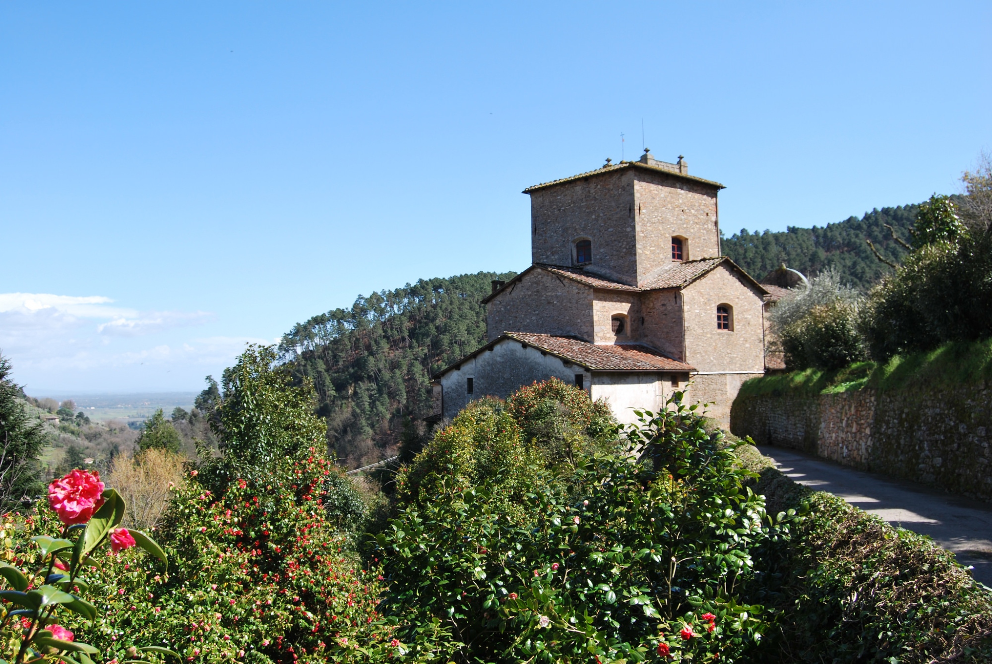 Il Borgo delle Camelie