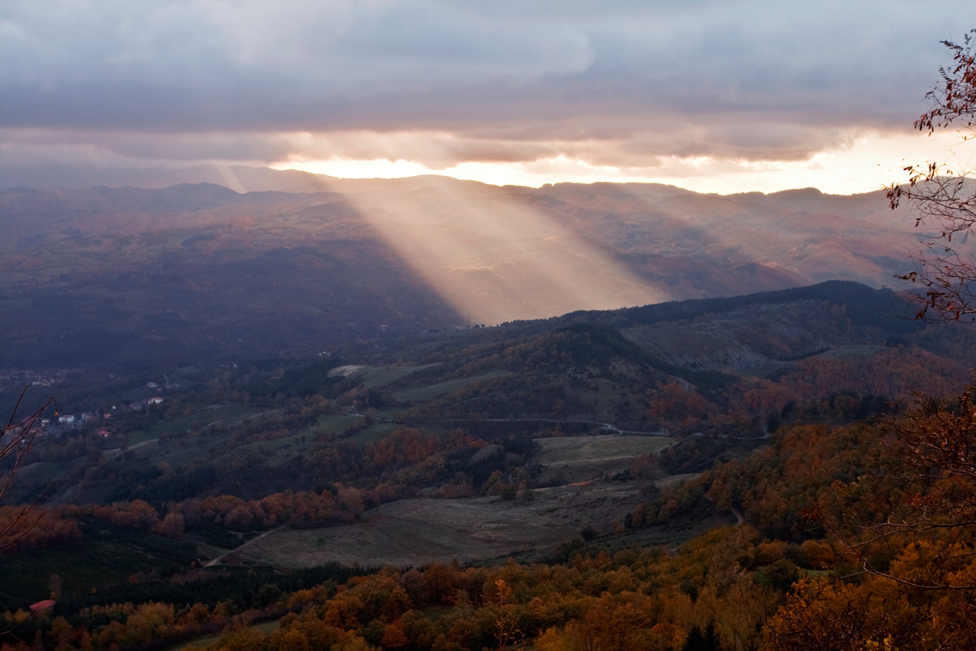 Parc des Forêts du Casentino