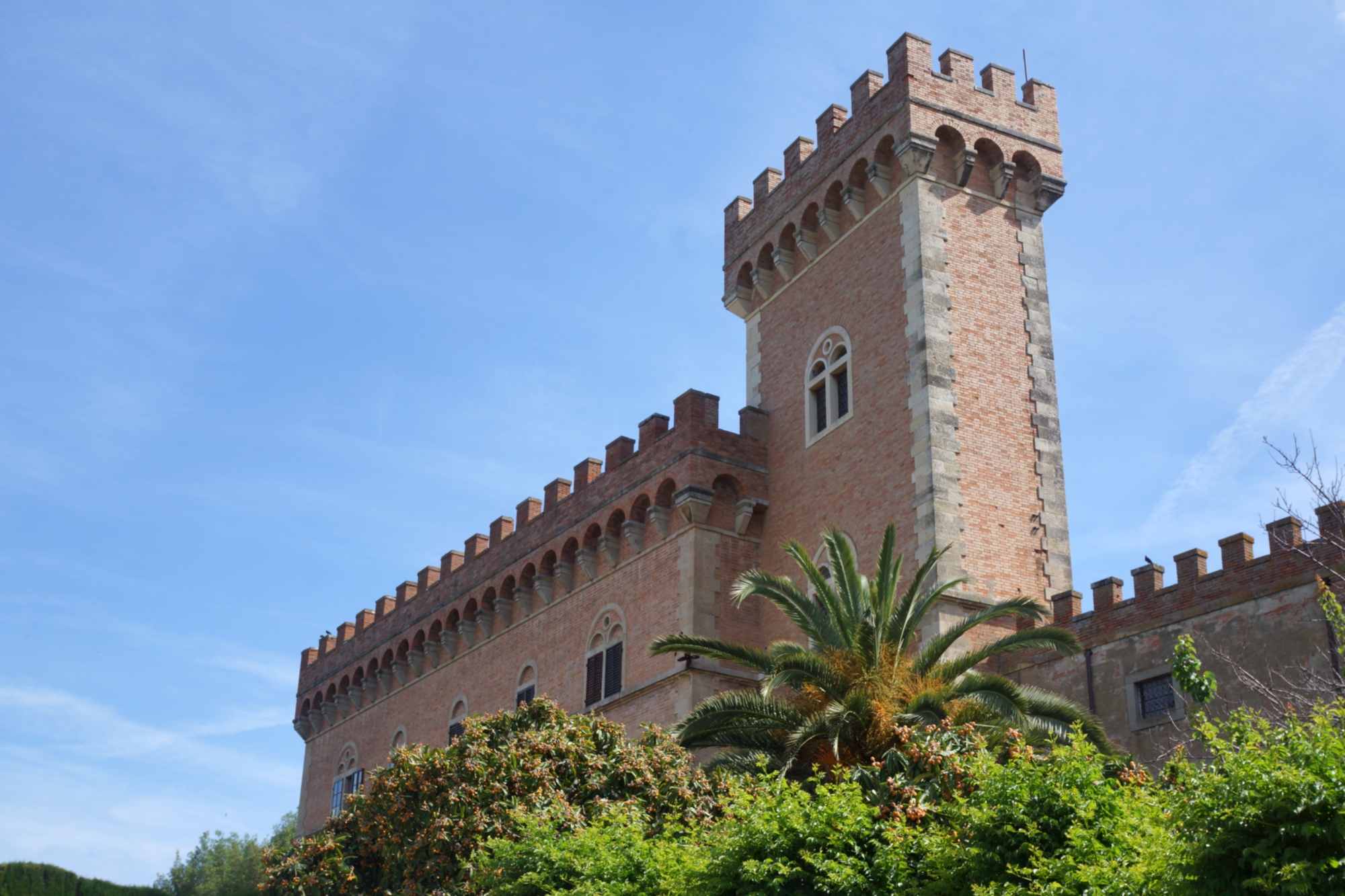 Château de Bolgheri