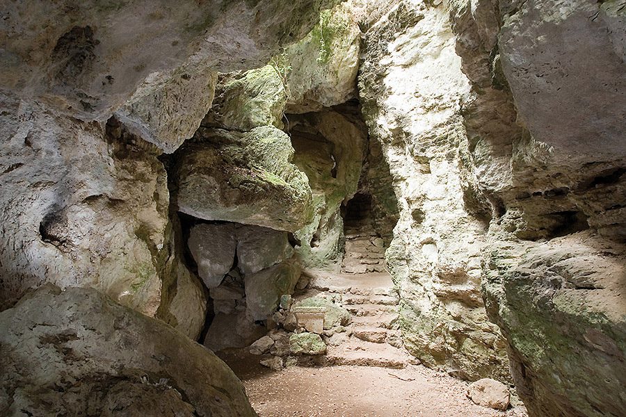 Parc naturel Archéologique Belvedere