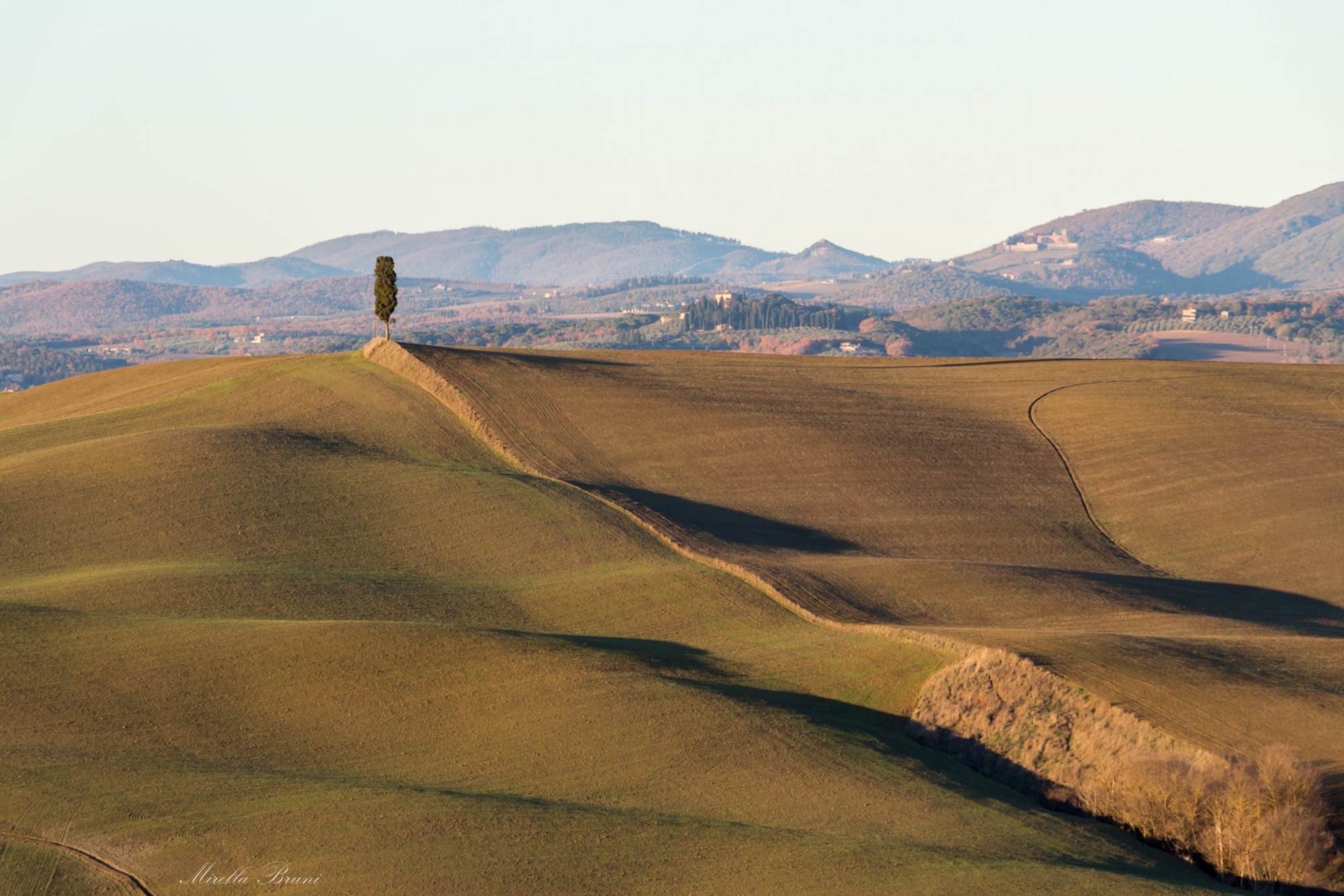 Crete Senesi