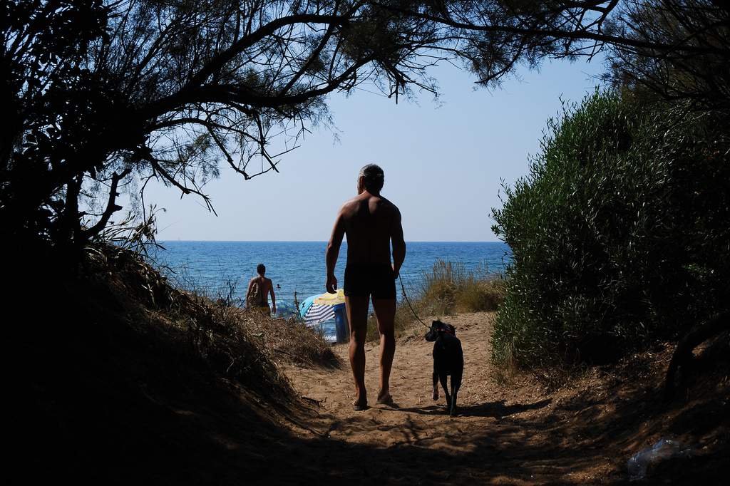 À la plage avec le chien