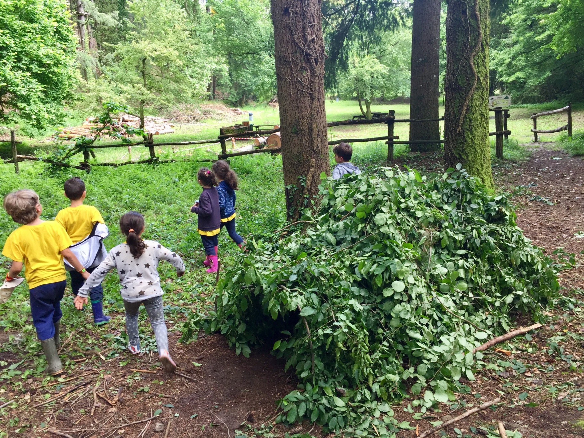 Activités en plein air dans les parcs d'aventure