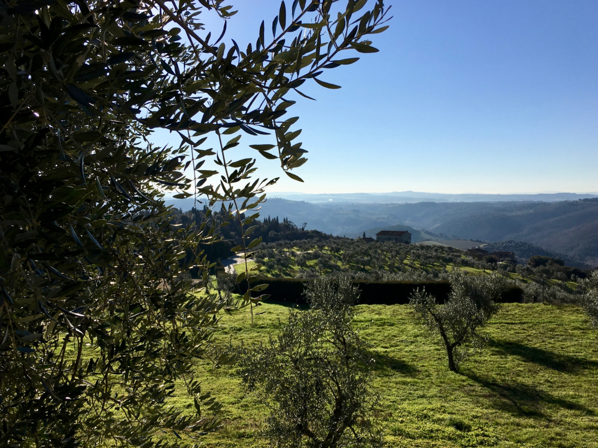 La campagne de Artimino