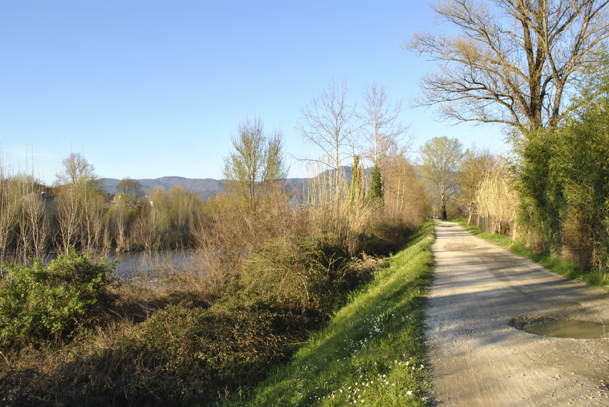 Piste cyclable et piétonne Puccini